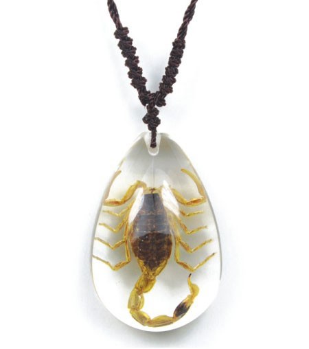 Golden Scorpion Necklace Real Insect Charm In Resin Teardrop Pendant,  Jewelry-19 - Walmart.com