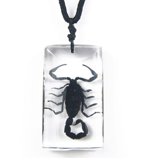 PTGMH Resin Black Scorpion Necklace for Women Men India | Ubuy
