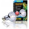 Halogen Basking Spot - 50w (Exo Terra)