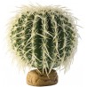 Barrel Cactus - MD (Exo Terra)