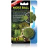 Moss Ball (Exo Terra)