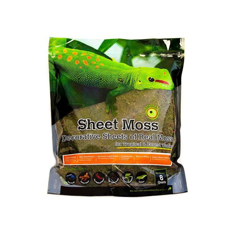 Galapagos Sheet Moss - 8 qt