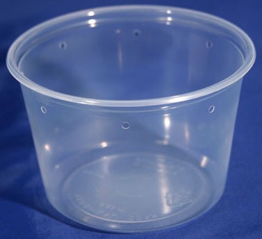 https://www.reptilesupplyco.com/3741/16-oz-semi-clear-deli-cups-punched-500ct-pro-kal.jpg