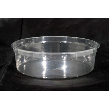 https://www.reptilesupplyco.com/5690-large_default/675-clear-deli-cup-32-oz-punched-pwp.jpg