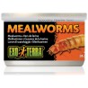 Mealworms (Exo Terra)