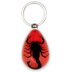 Keychain - Black Scorpion (Red)