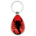 Keychain - Black Scorpion (Red - Teardrop)