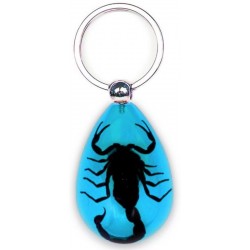 Keychain - Black Scorpion (Light Blue)