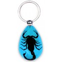 Keychain - Black Scorpion (Light Blue - Teardrop)