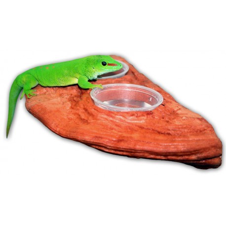 Gecko Ledge - Mojave (Pet-Tekk)